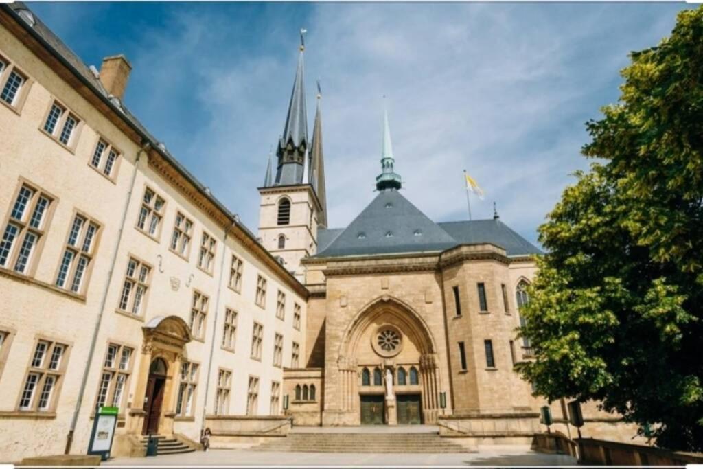 Large Family Retro Flat In City Center- Large Terrace & Garden View, Free Parking Luxembourg Exterior photo